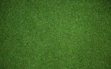 Load image into Gallery viewer, Fresh grass turf in Newcastle, Morpeth, Gateshead, North Shields, South Shields, North East