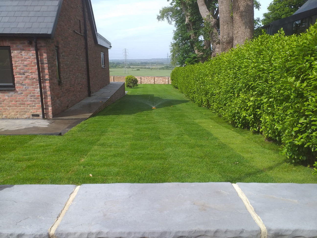Fresh Grass Turf Rolls Delivered & Laid | Newcastle Turf