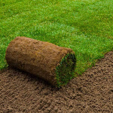 Load image into Gallery viewer, Fresh Northumberland Turf roll placed on soil, highlighting the lush texture of the grass for garden enhancement - Lawn Turf Rolls Newcastle Turf - newcastleturf.co.uk
